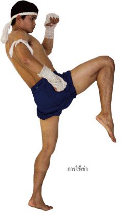 วิธีต่อยมวยไทย (7)